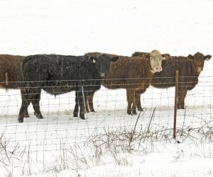 The Biggest October Snowstorm in Colorado History Will Blow Your Mind