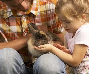 When to Neuter or Spay Your Rabbit: 5 Steps to Follow