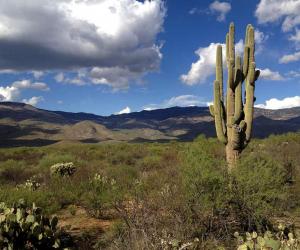 Discover the 9 Largest State Parks in Arizona