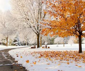 Discover the Biggest October Snowstorm to Ever Hit Massachusetts