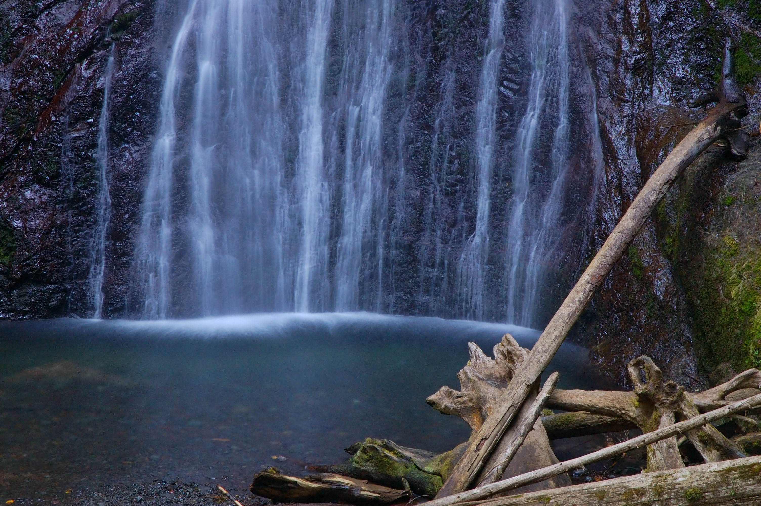 15 Amazing Rainforests Found in the United States