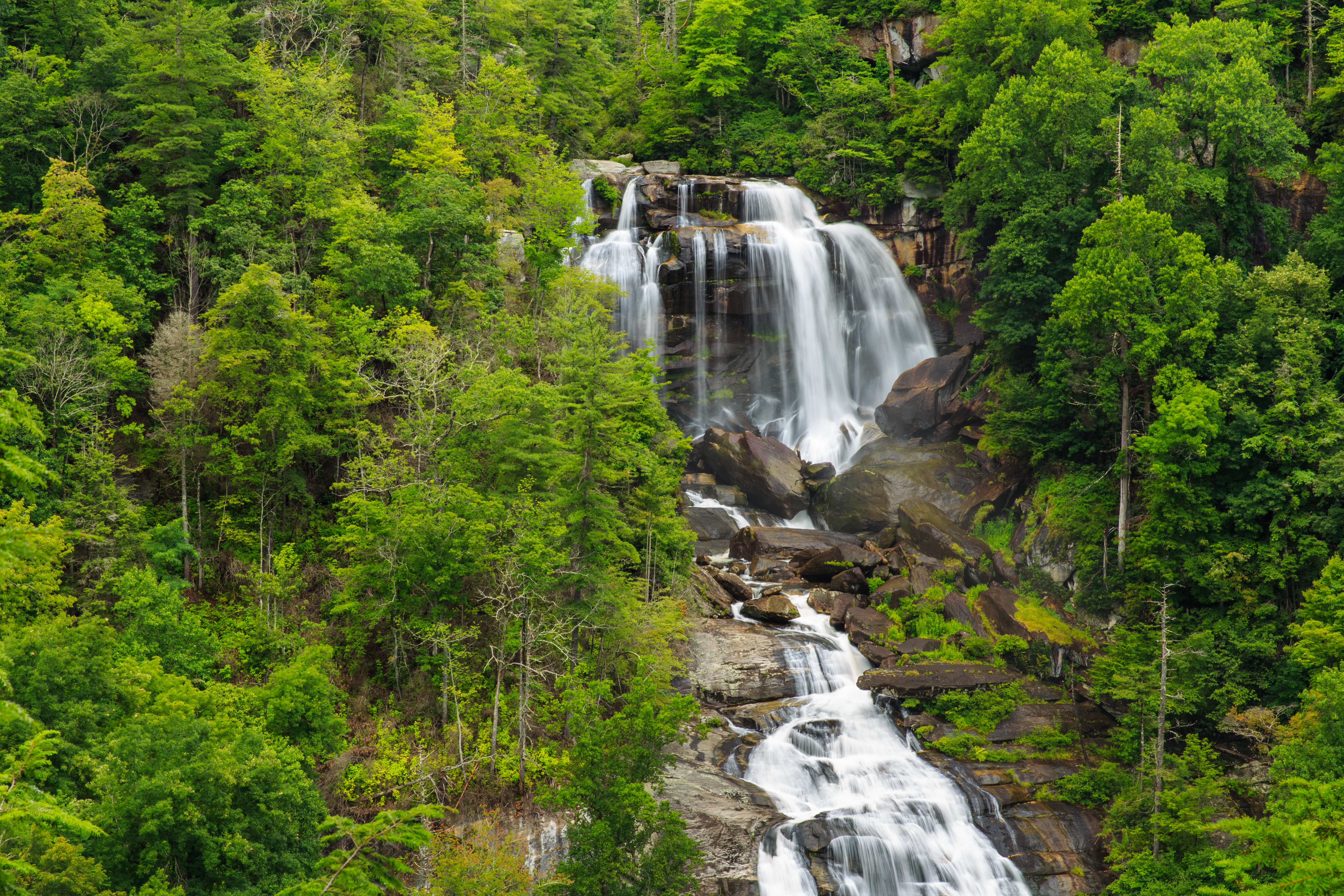 15 Amazing Rainforests Found in the United States