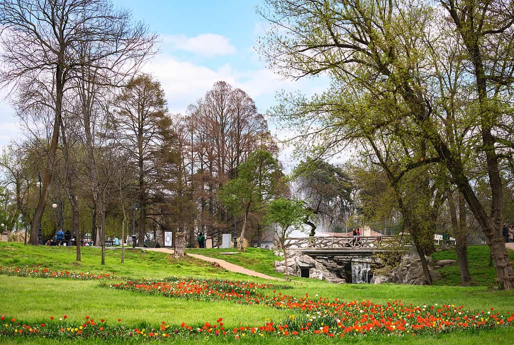 The 8 Best Botanical Gardens in Georgia