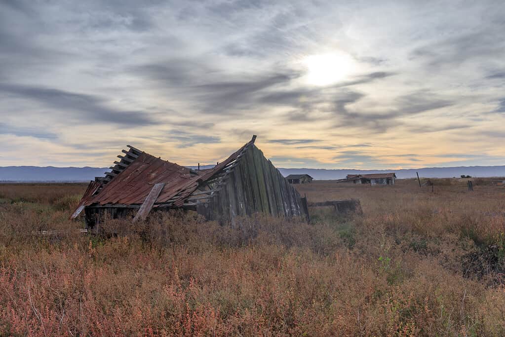 Drawbridge: The Disappearing Ghost Town of the Bay Area