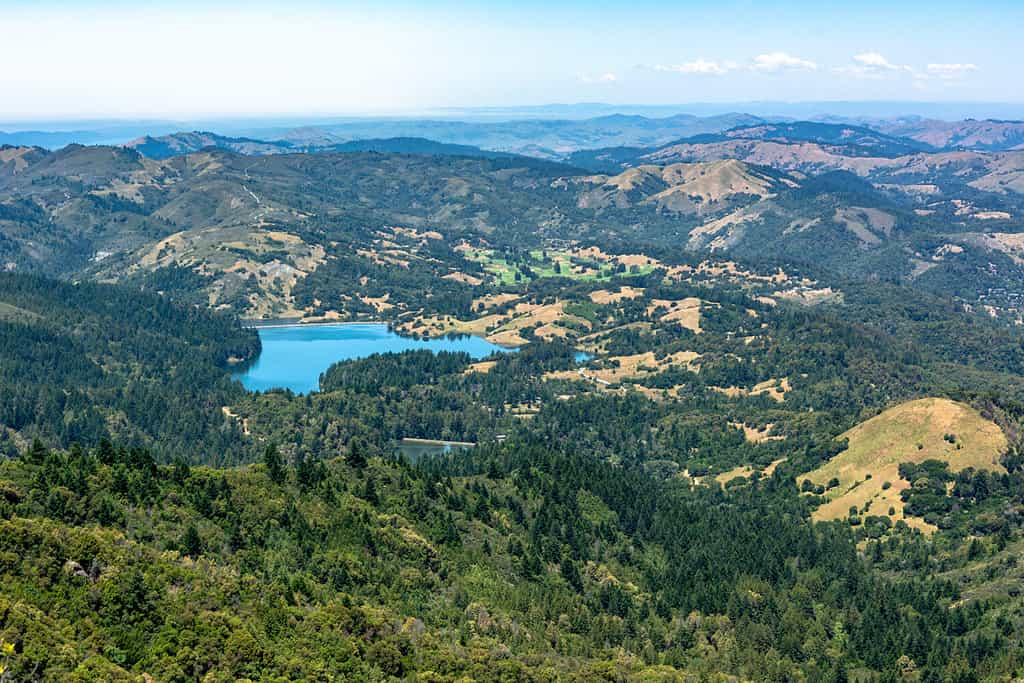 The 16 Best Places to See Towering Redwood Trees in California