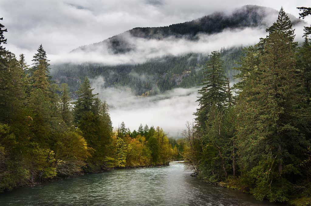 How Deep Is the Skagit River?