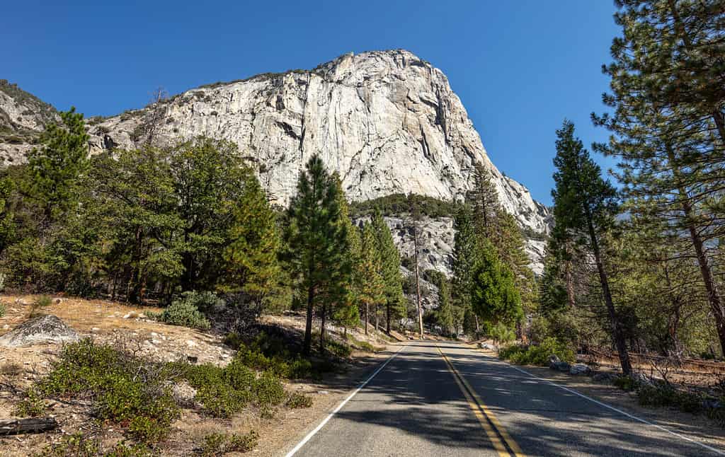 The 16 Best Places to See Towering Redwood Trees in California