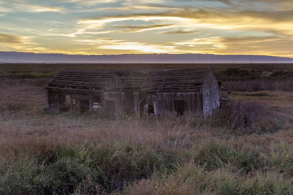 Drawbridge: The Disappearing Ghost Town of the Bay Area