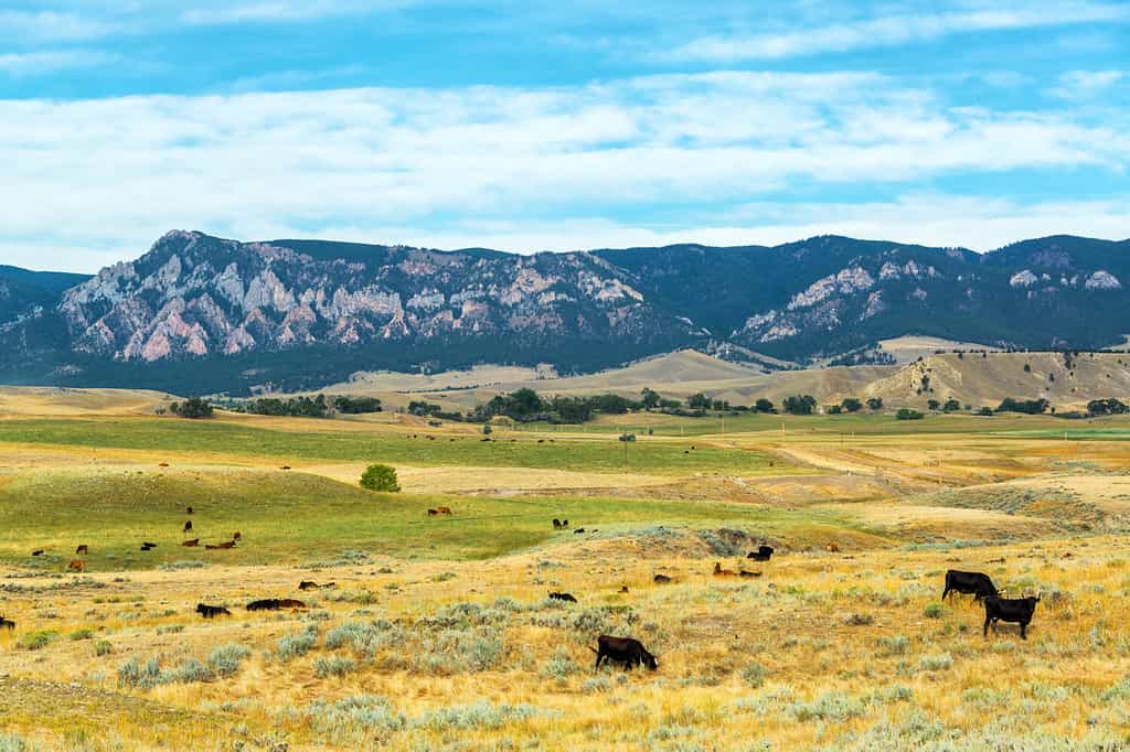 How Wide Is Wyoming? Total Distance from East to West