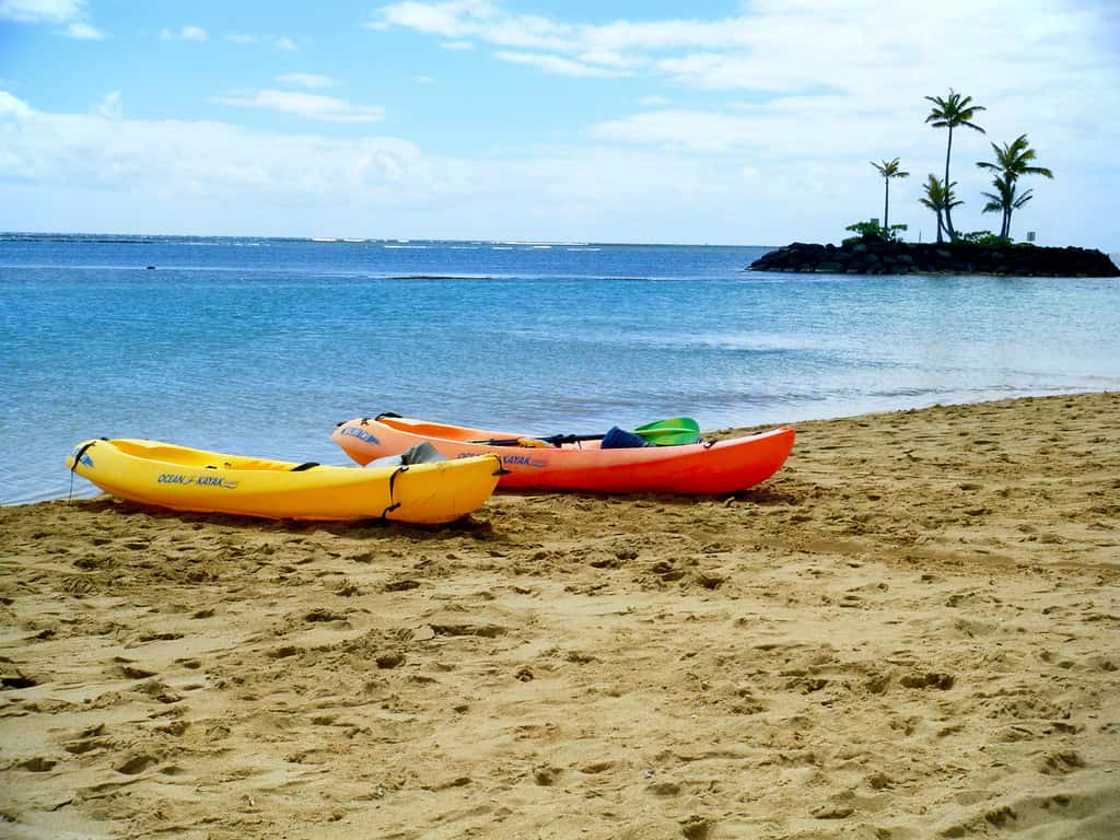 Discover the Largest House in Hawaii And Just How Big 15,500 Square Feet Really Is 