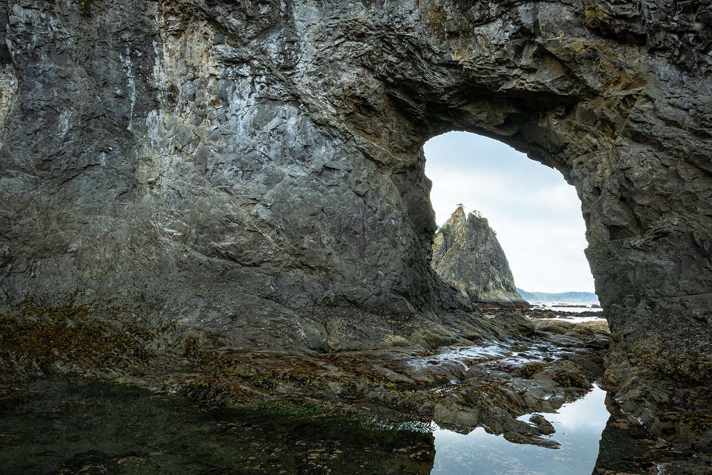 The 5 Best Hiking Trails in Olympic National Park