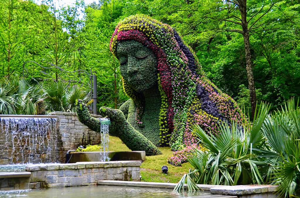 The 8 Best Botanical Gardens in Georgia