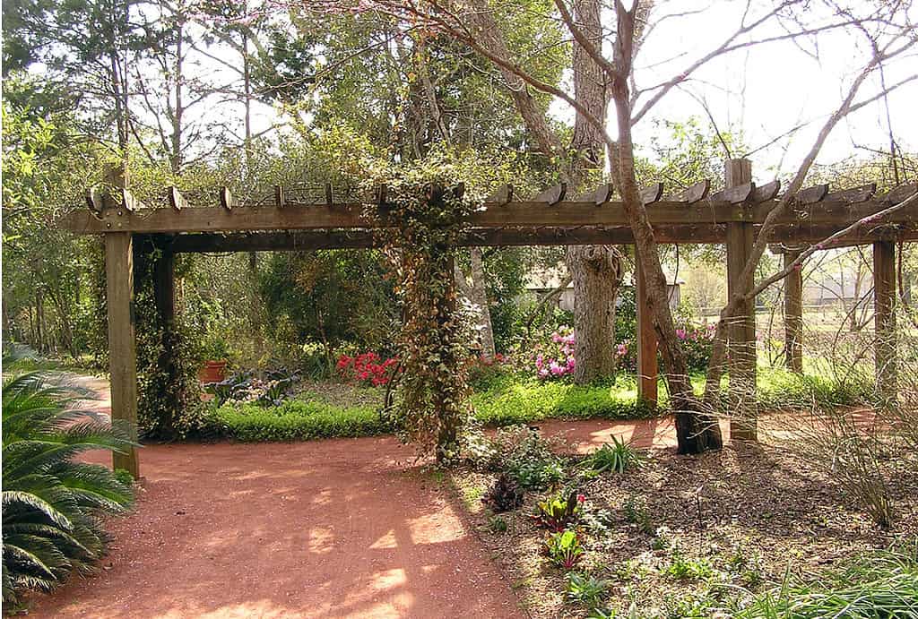 The 8 Best Botanical Gardens in Georgia