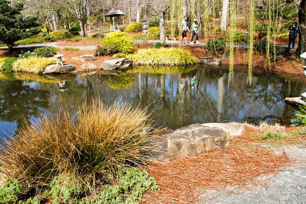 The 8 Best Botanical Gardens in Georgia