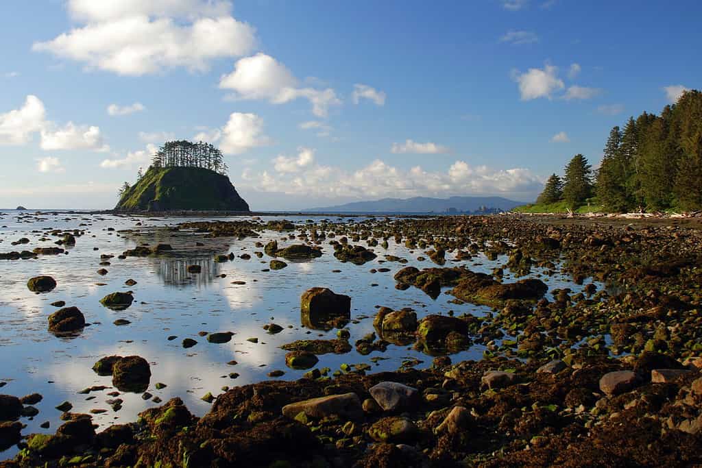 The 5 Best Hiking Trails in Olympic National Park