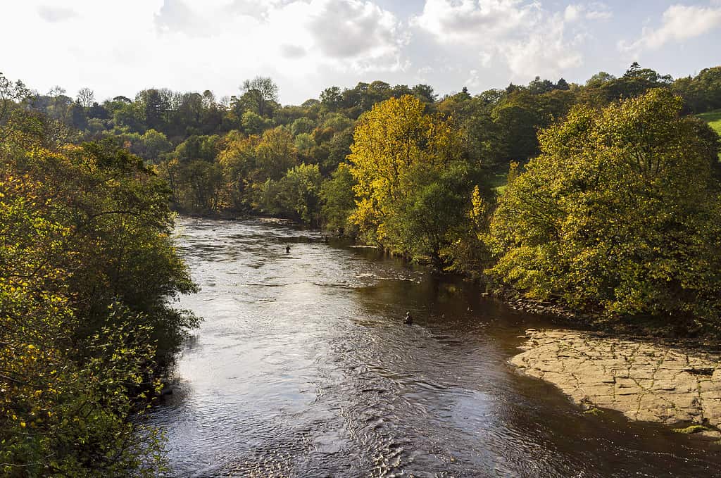 4 of the Fastest Rivers in England