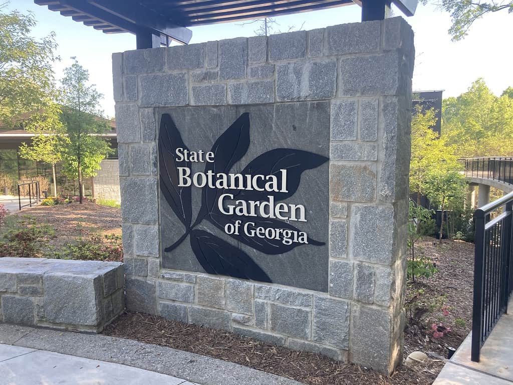 The 8 Best Botanical Gardens in Georgia