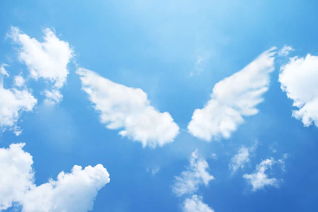 909 Angel Number: Discover the Powerful Meanings and Symbolism