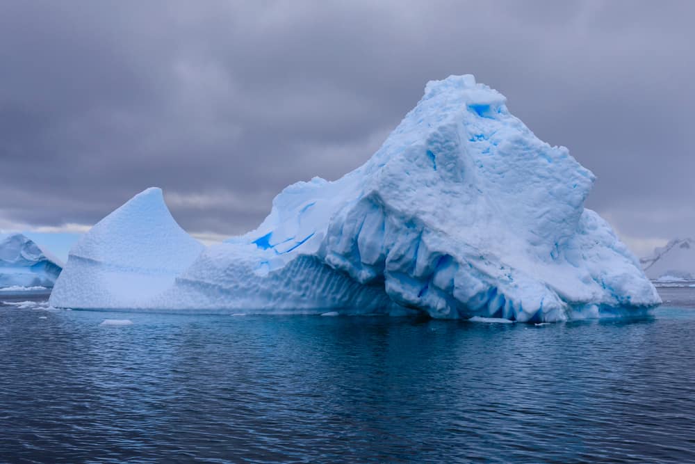 Discover 5 of the Countries and Regions Where Most Penguins Live