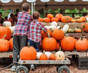 Explore the 7 Best Pumpkin Patches in Pennsylvania To Experience Autumn