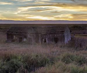 Drawbridge: The Disappearing Ghost Town of the Bay Area