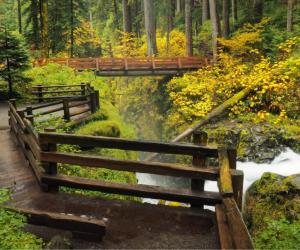 The 5 Best Hiking Trails in Olympic National Park