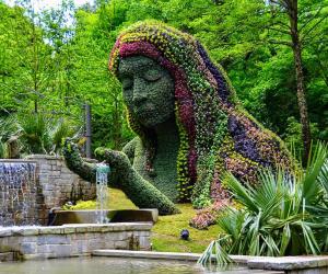 The 8 Best Botanical Gardens in Georgia