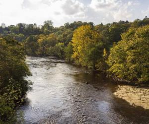 4 of the Fastest Rivers in England