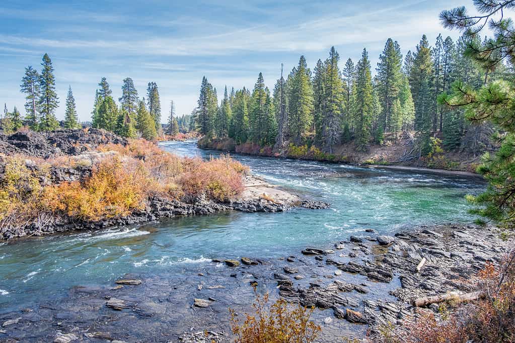 Pacific Crest Trail in Oregon: 10 Facts You Didn’t Know