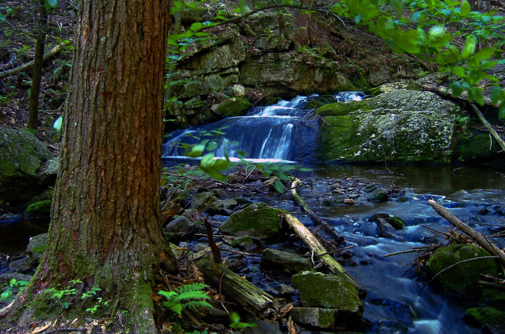 10 Natural Springs in New Jersey And Where To Find Them