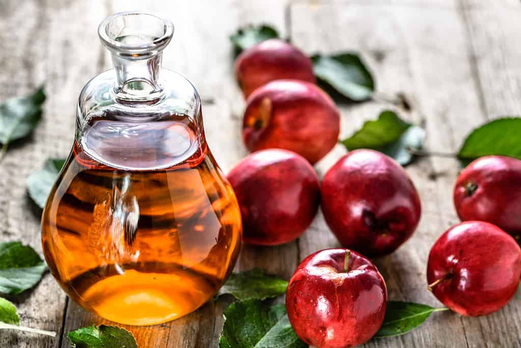 Apple Picking in Georgia: The 8 Best Orchards and Farms