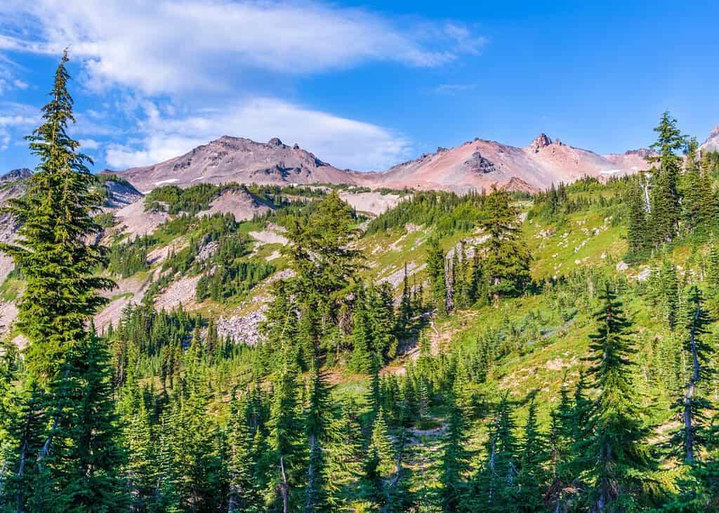 Washington's Largest Landowner Controls a Ridiculous 900,000 Acres