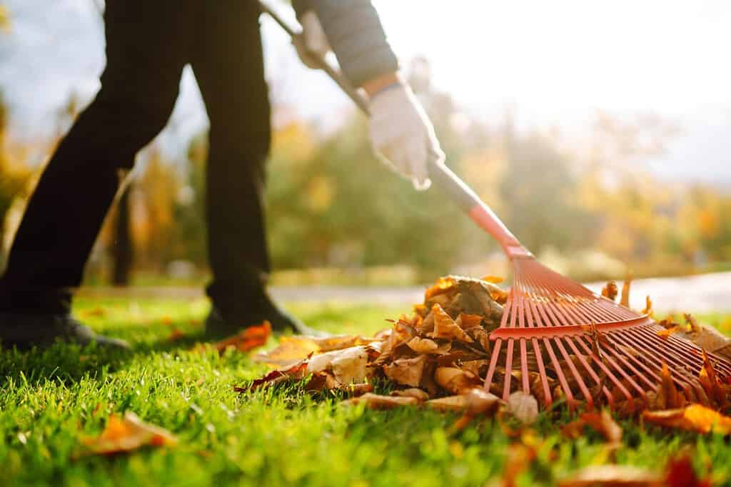 5 Reasons You Need To Buy a Leaf Blower This Fall 