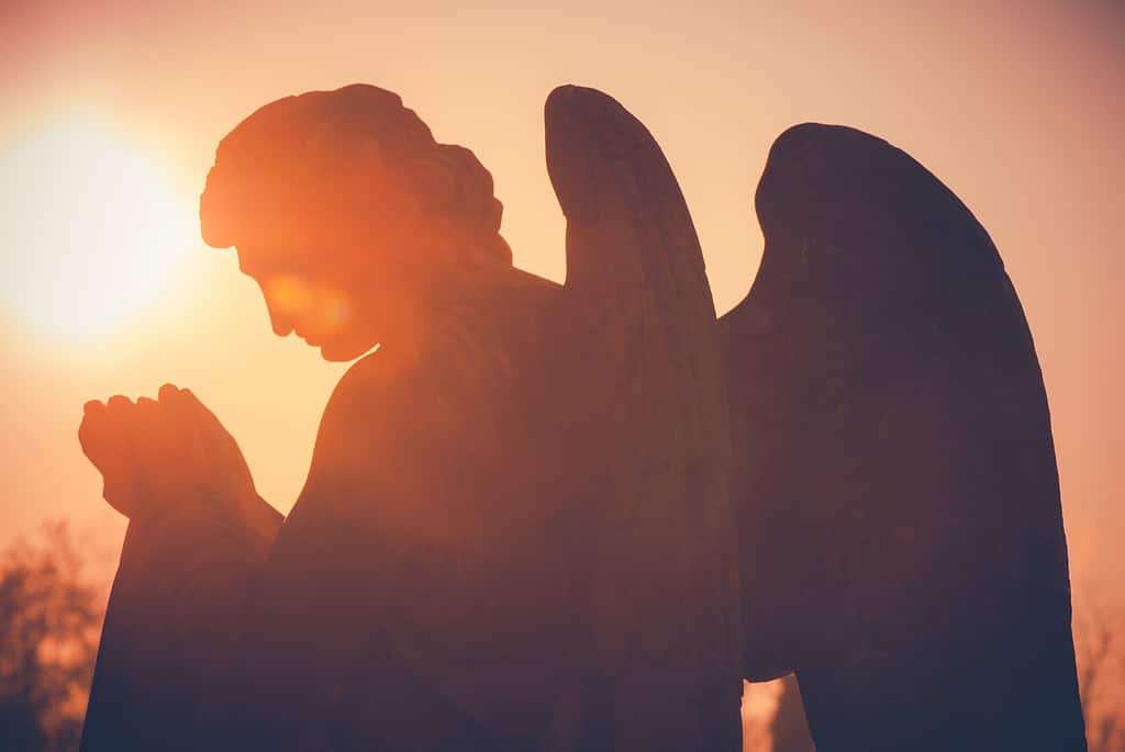 9999 Angel Number: Discover the Powerful Meanings and Symbolism