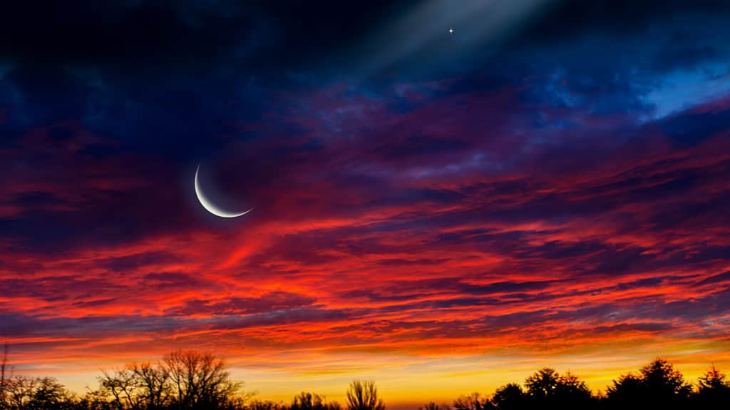 The Next New Moon: November 13, 2023 - See Details and More