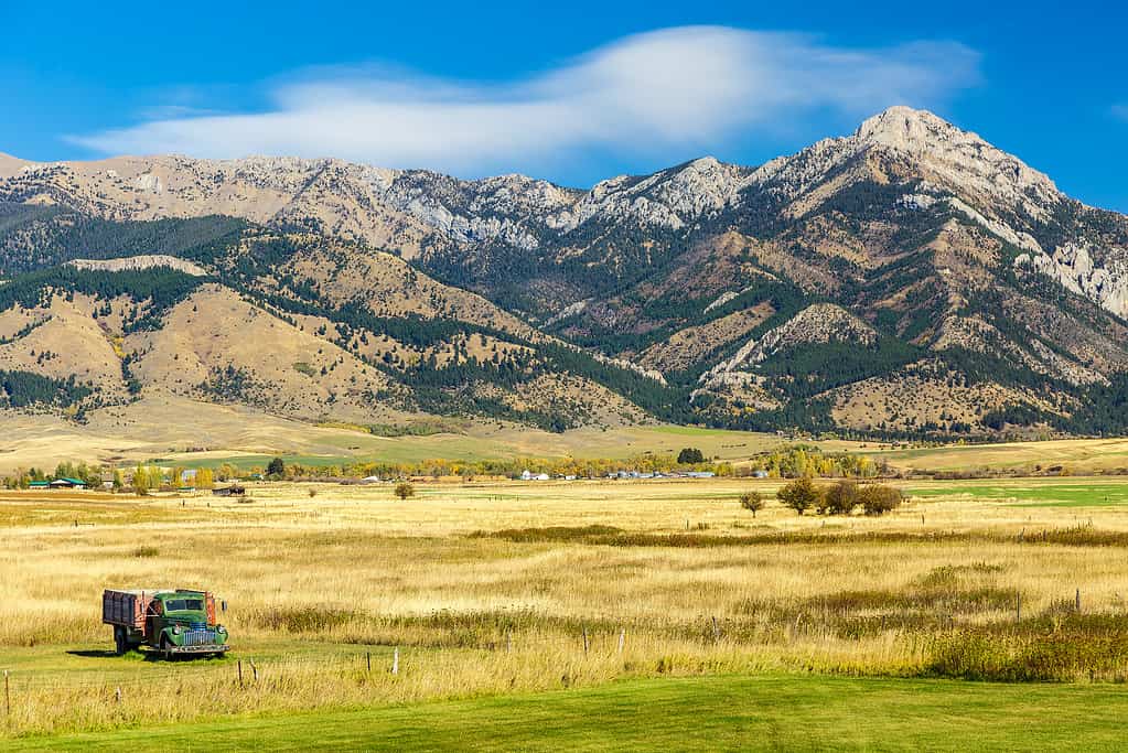 The Top 7 Reasons Montana Is the Best State for Deer Hunting