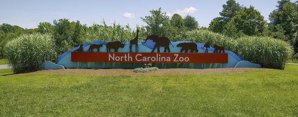 Discover the Largest Natural Habitat Zoo in the World