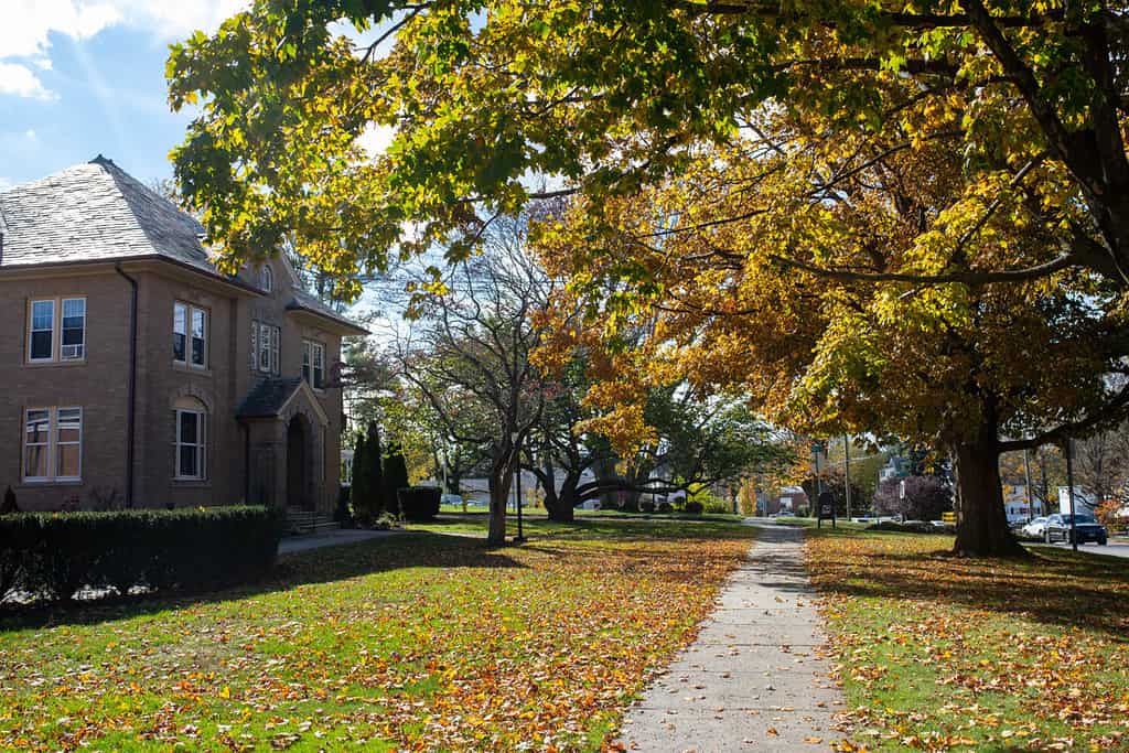 5 Reasons You Need To Buy a Leaf Blower This Fall 