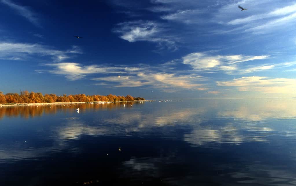 Will The Salton Sea Ever Completely Dry? See the Latest Estimates