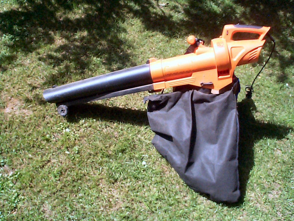 5 Reasons You Need To Buy a Leaf Blower This Fall 