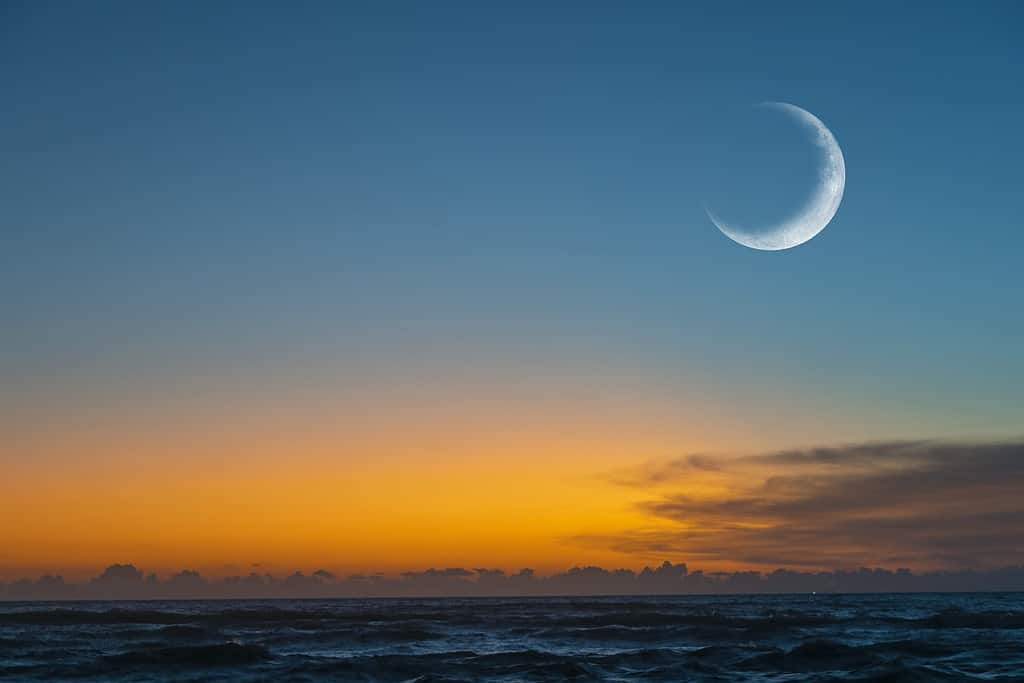 The Next New Moon: November 13, 2023 - See Details and More