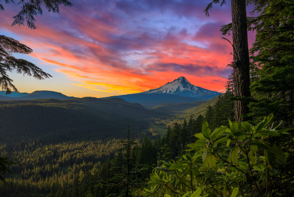 Pacific Crest Trail in Oregon: 10 Facts You Didn’t Know