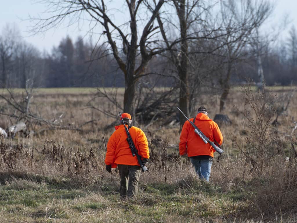 The Top 7 Reasons Montana Is the Best State for Deer Hunting