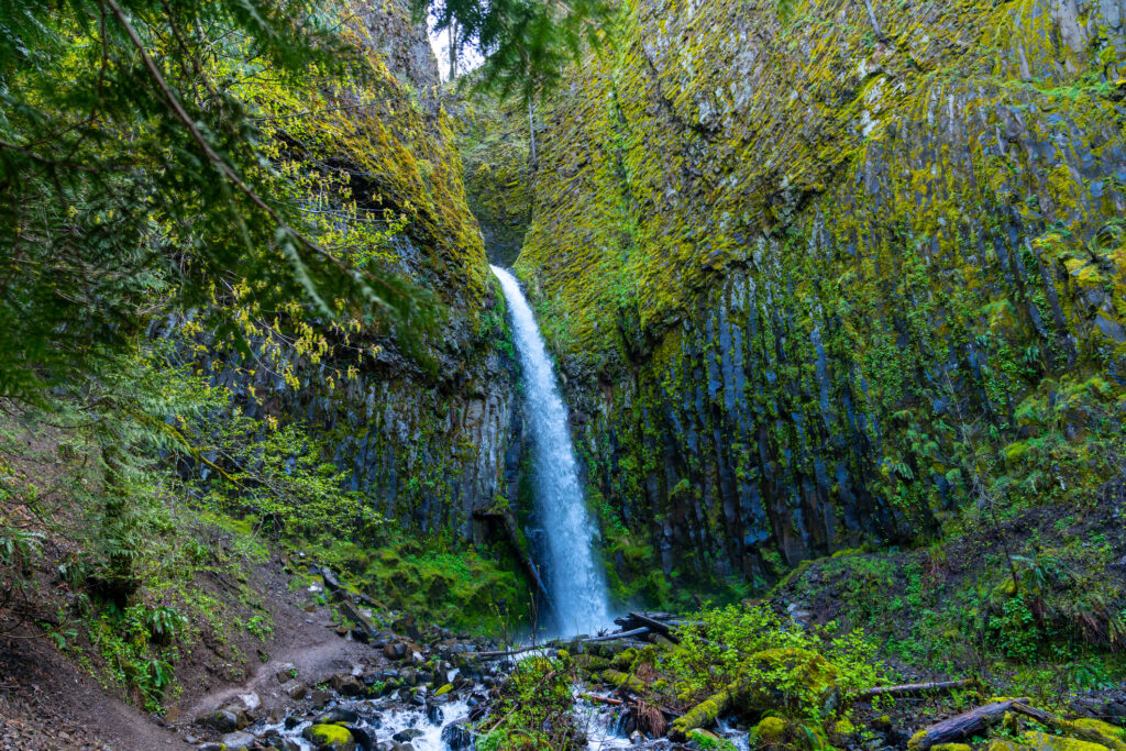 Pacific Crest Trail in Oregon: 10 Facts You Didn’t Know