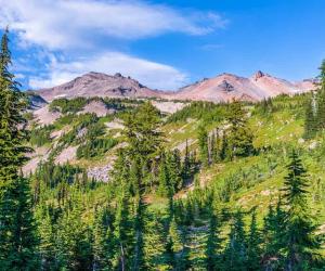 Washington's Largest Landowner Controls a Ridiculous 900,000 Acres