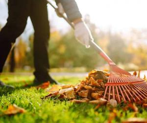 5 Reasons You Need To Buy a Leaf Blower This Fall