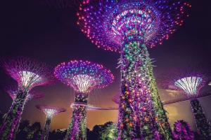 Singapore Gardens by the Bay travel guide