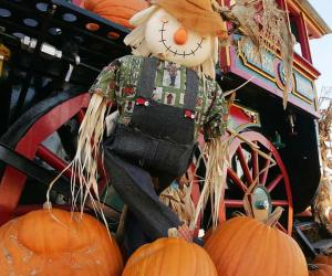 Explore the 6 Best Pumpkin Patches in Iowa To Embrace The Fall Season