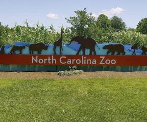 Discover the Largest Natural Habitat Zoo in the World