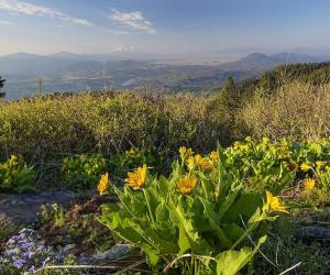 Pacific Crest Trail in Oregon: 10 Facts You Didn’t Know